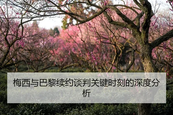 梅西与巴黎续约谈判关键时刻的深度分析